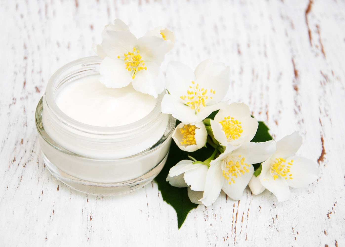 Face and Body Cream Moisturizers with Jasmine Flowers on White W